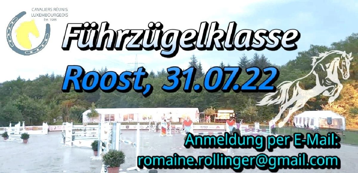 Führzügelklasse auf dem Roost Führzügelklasse auf dem Roost