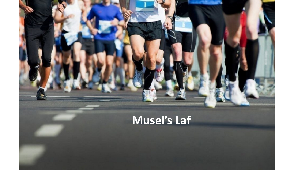 Résultats Musel's Laf