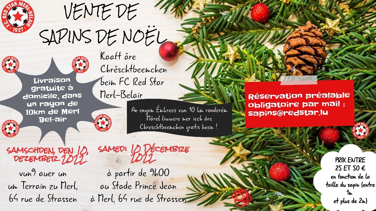 Vente de sapins de Noël le 10 décembre 2022