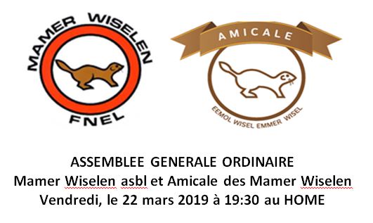 ASSEMBLEE GENERALE MAMER WISELEN & AMICALE ASSEMBLEE GENERALE MAMER WISELEN & AMICALE