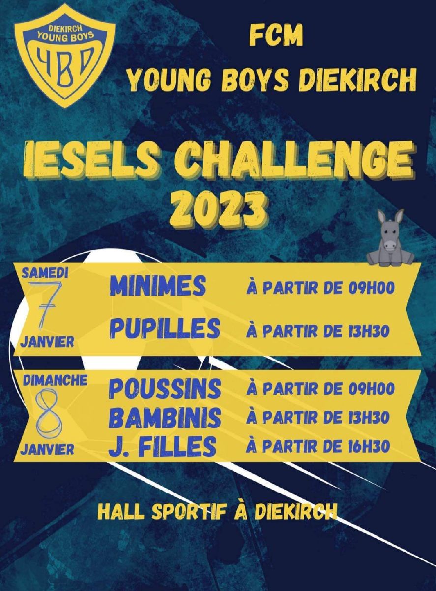 Iesels Challenge 2023