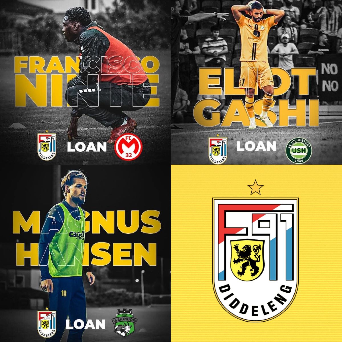 MERCATO MERCATO