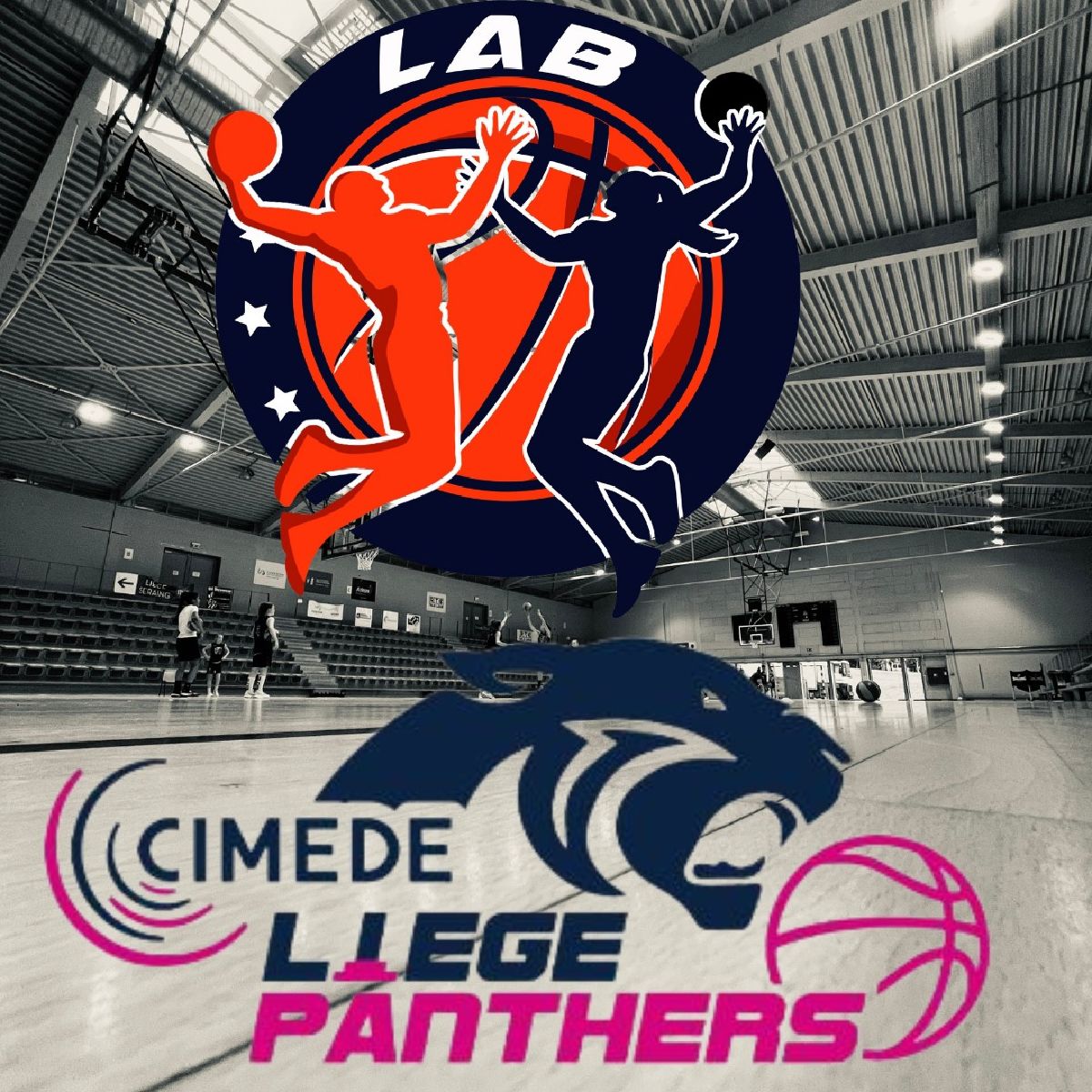 Félicitations aux Panthers nées en 2009