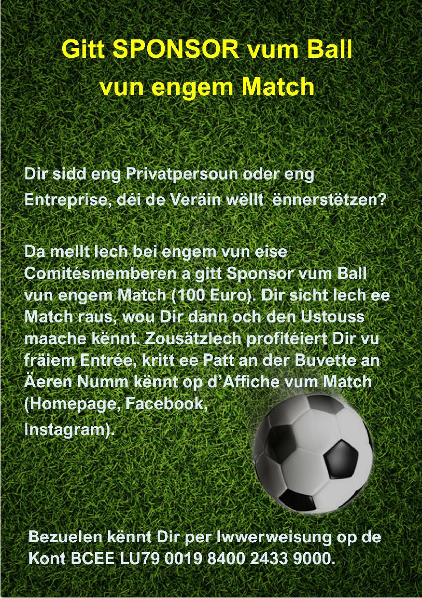 Ballsponsor