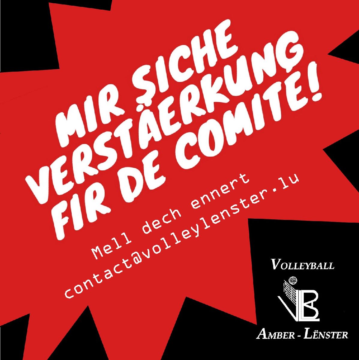 Den Comité sicht Verstäerkung!