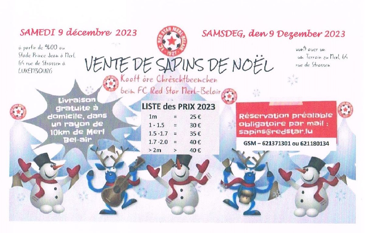 Vente de Sapins de Noël 2023