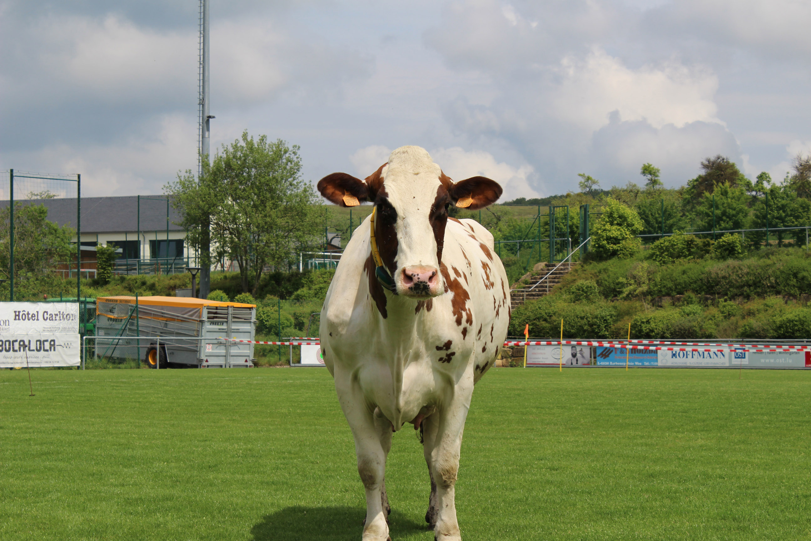 Berbuerger Duerfbeschass Gewënner