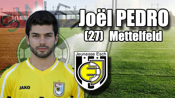 Transfer: Joël Pedro