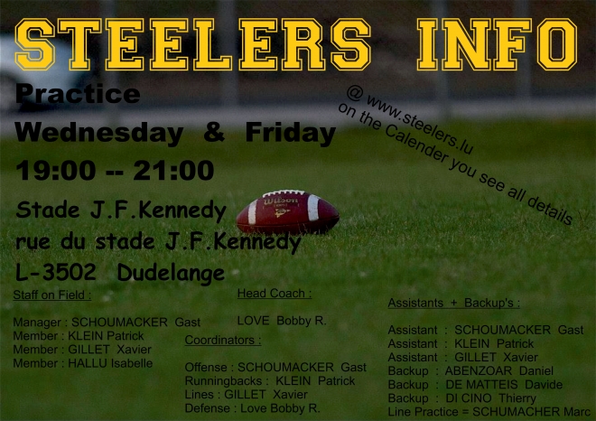 Steelers Info