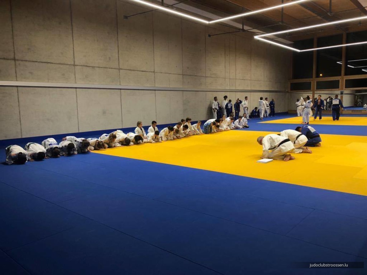 Larger training offer and new schedule 2019-2020 Larger training offer and new schedule 2019-2020