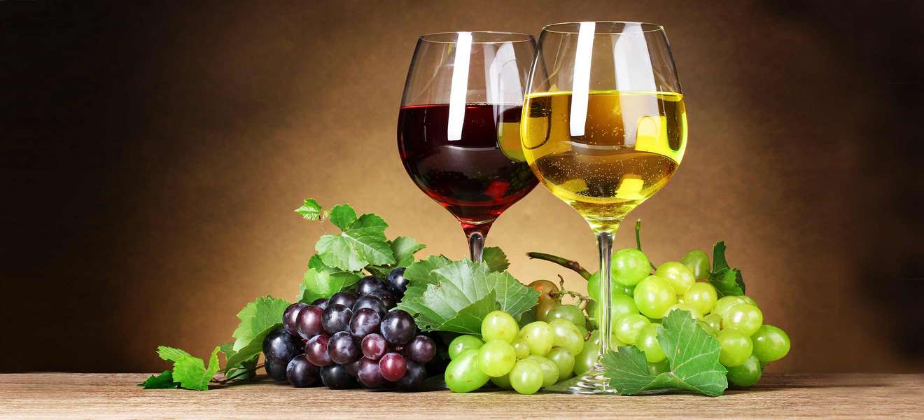 Vins divins Vins divins