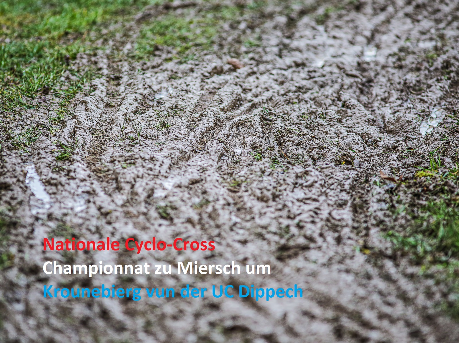 Nationale Cyclo-Cross Championnat zu Miersch den 11/01/2020 - Fotoen Nationale Cyclo-Cross Championnat zu Miersch den 11/01/2020 - Fotoen