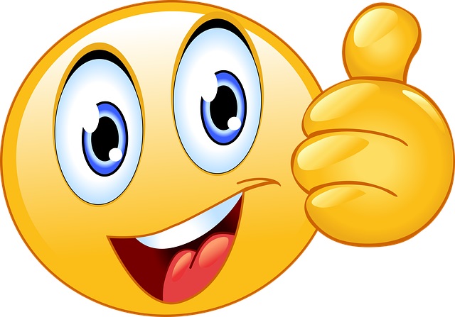 SECOND BILAN INTERMÉDIAIRE