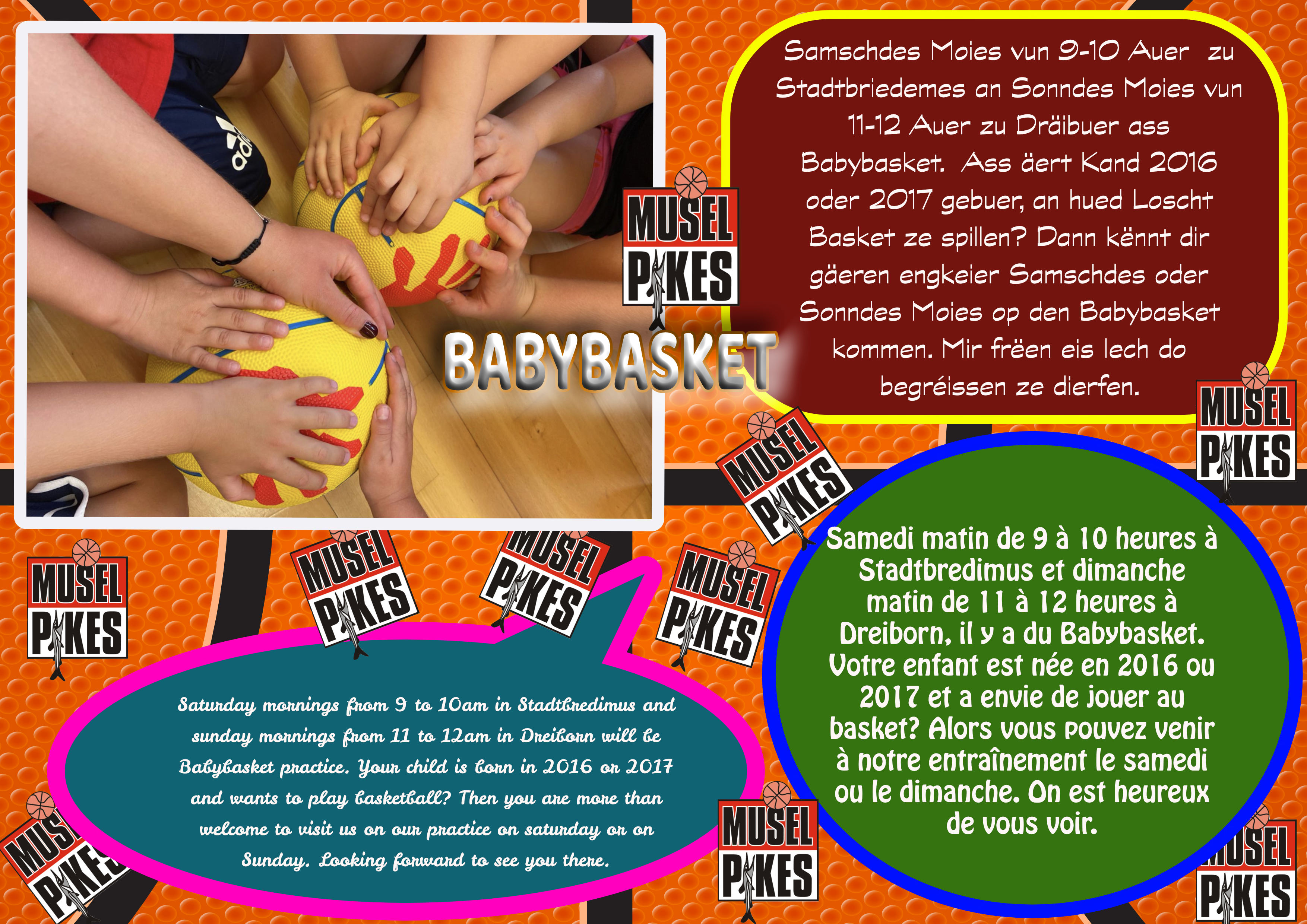 BABYBASKET born 2016-2017