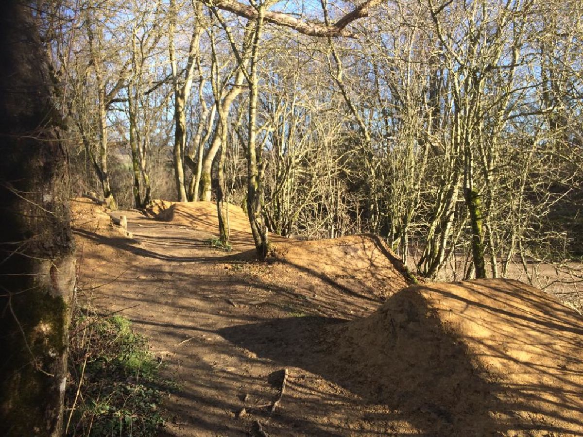 Nei Line in progress! 