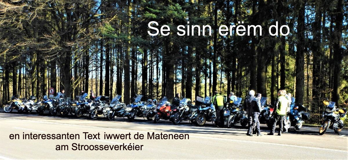 Se sinn erëm do ! Se sinn erëm do !