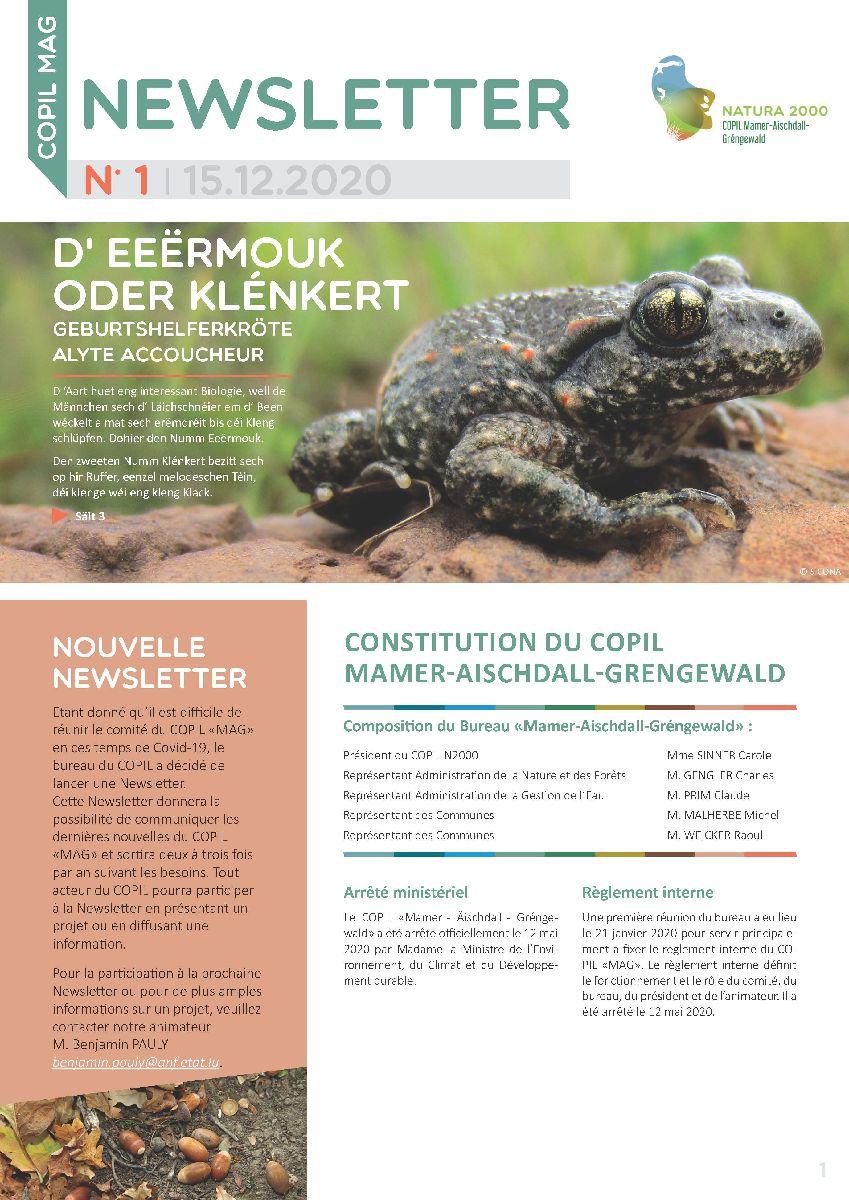 COPIL Newsletter 1 Link (15.12.2020) 
