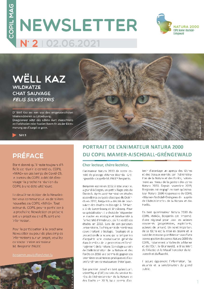 COPIL Newsletter 2 Link (02.06.2021)