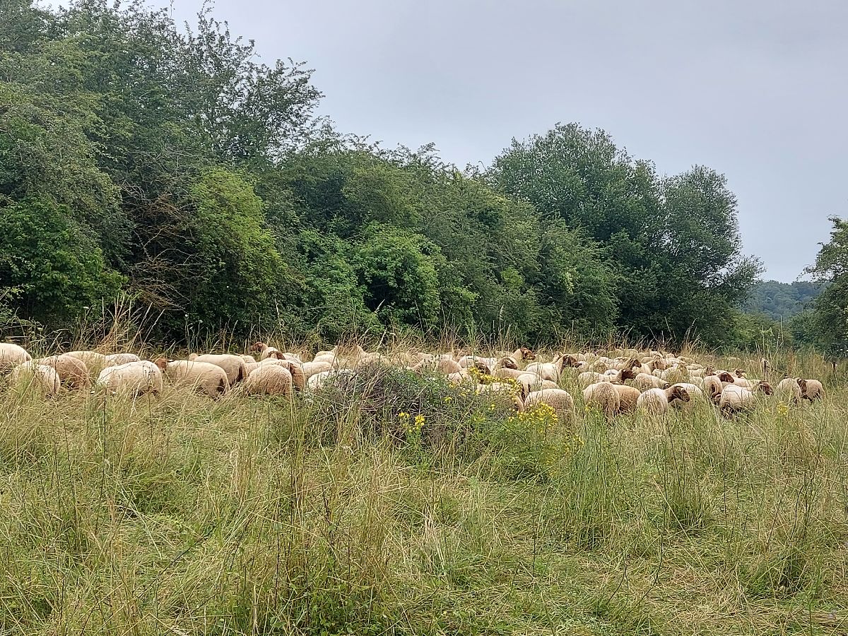 Een Dag an der Natur 