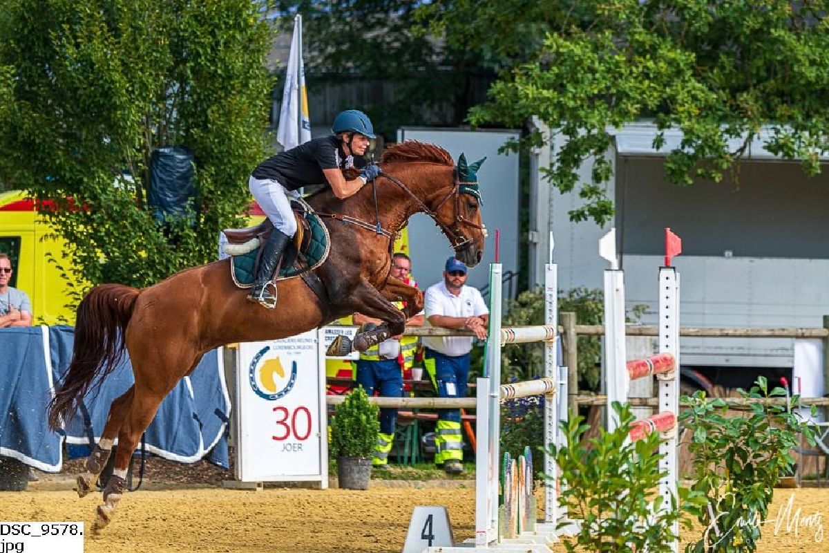 CRL Meister Landesmeisterschaft Springen CRL Meister Landesmeisterschaft Springen