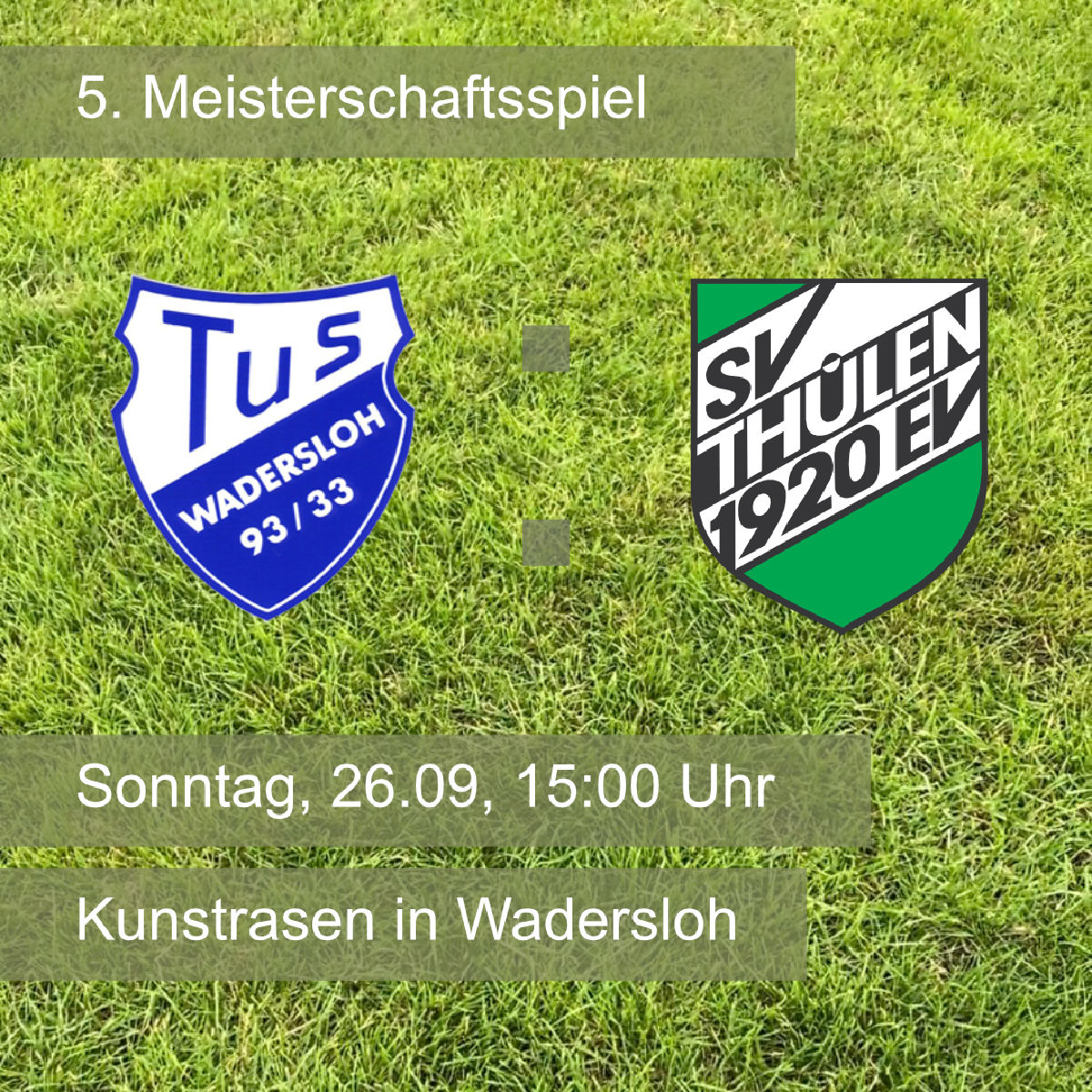 SVT-Damen vor schwerem Auswärtsspiel SVT-Damen vor schwerem Auswärtsspiel