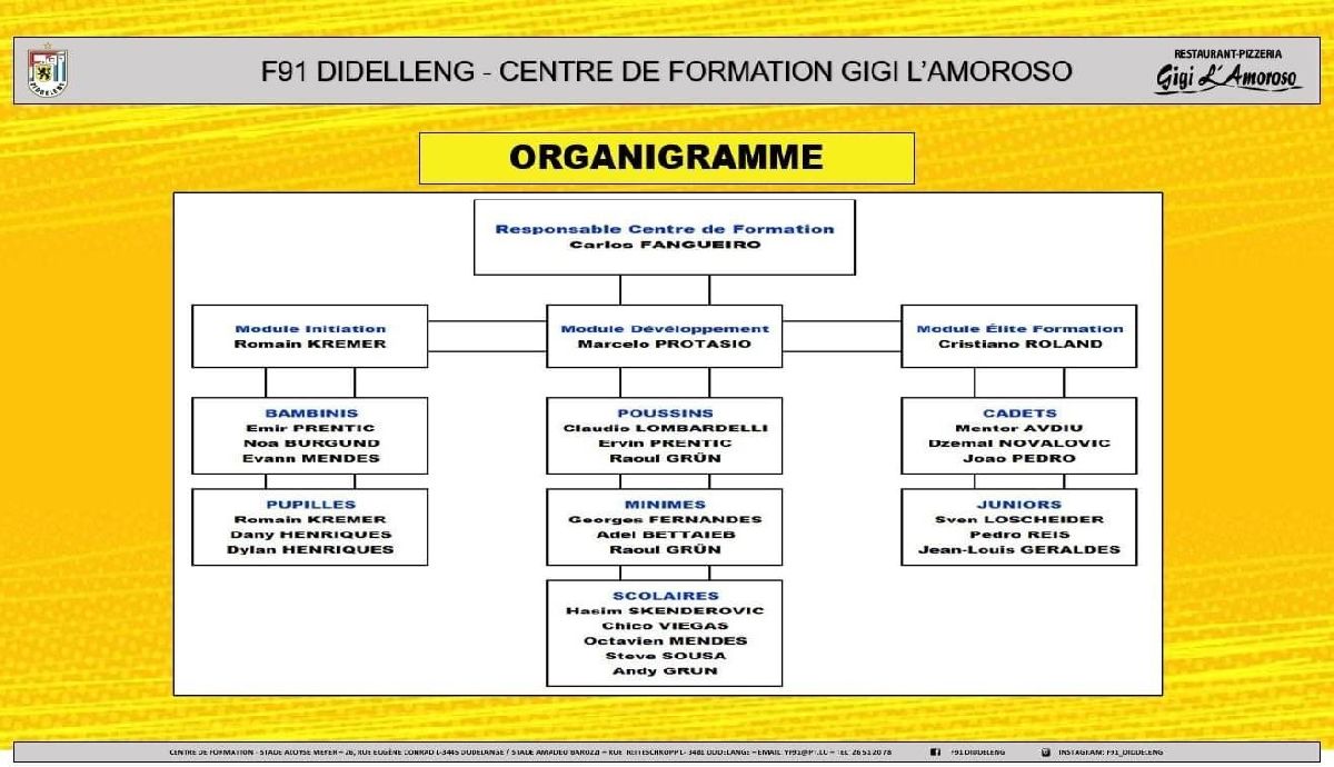 Organigramme Centre de Formation Gigi l'Amoroso