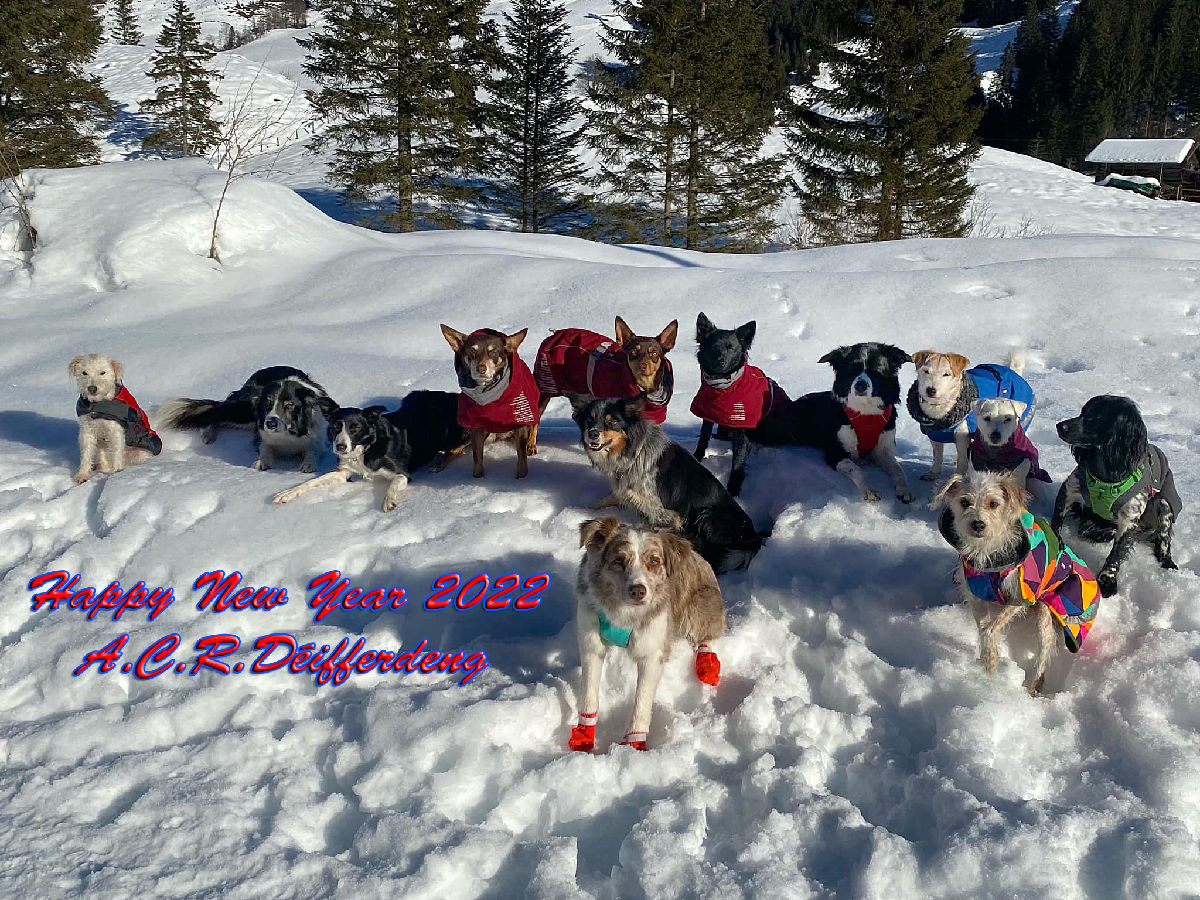 Happy New Year 2022