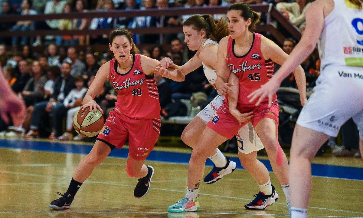 Face à Malines, nos Panthers s’inclinent en finale de la Coupe !