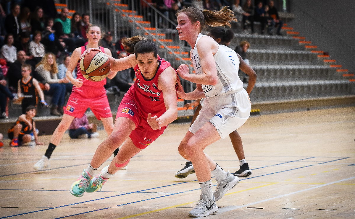 L'aventure continue: nos Panthers sont en demi-finales !