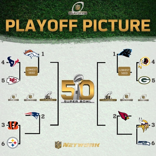 NFL PLAYOFF PICTURE !!!