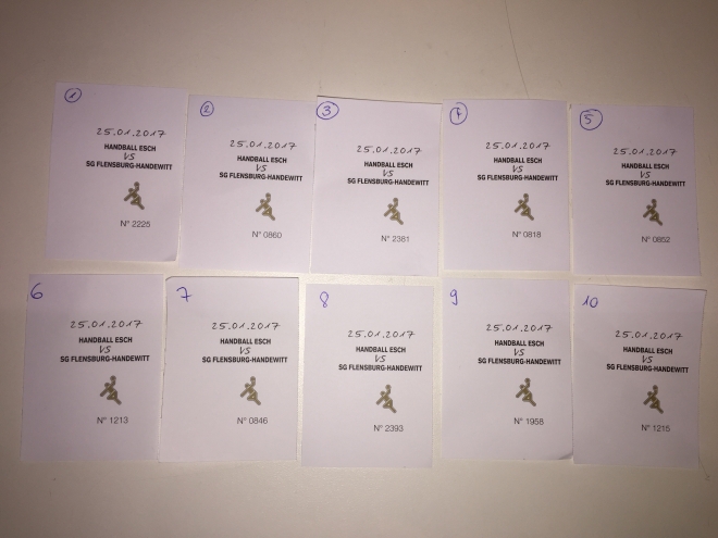 TOMBOLA HANDBALL ESCH vs SG FLENSBURG-HANDEWITT