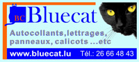 Blue Cat