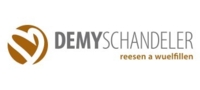 DEMY SCHANDELER