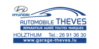 GARAGE THEVES