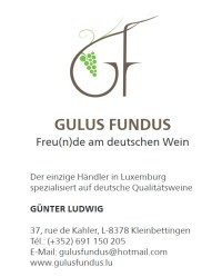 GULUS FUNDUS