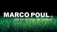 MARCO POUL s.à.r.l.