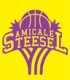 Amicale Steesel Dames A (Senior F)