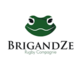 BrigandZe RC 1 (Seniors F)