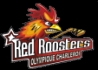 Charleroi Red Roosters (Senior M)