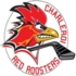 Charleroi Red roosters 1 (U14 M/F)