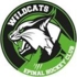 EPINAL WILDCATS 1 (Seniors M)