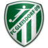 FC Gleisdorf 09 1 (Senioren M)
