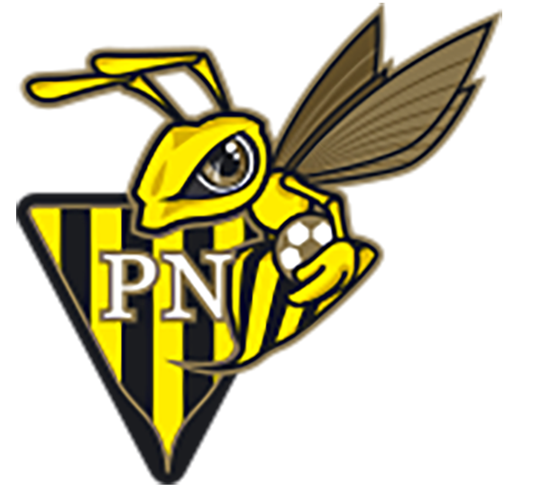 Progrès Niederkorn  (Senior M)