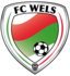 FC Wels 1 (Senioren M)
