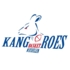 Kangoeroes Basket Mechelen - TDW 1 (Seniors F)