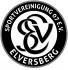 SV 07 Elversberg