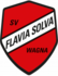 SV Flavia Solva 1 (Senioren M)
