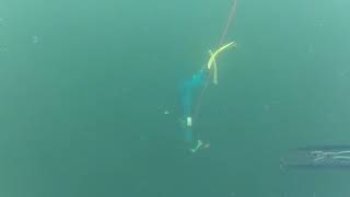 Free Diving at the Lake